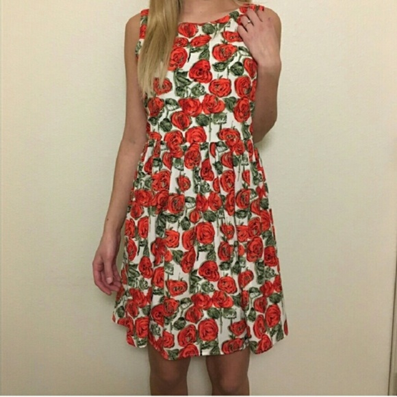 Anthropologie Dresses & Skirts - Sunday in brooklyn rose tea dress size M